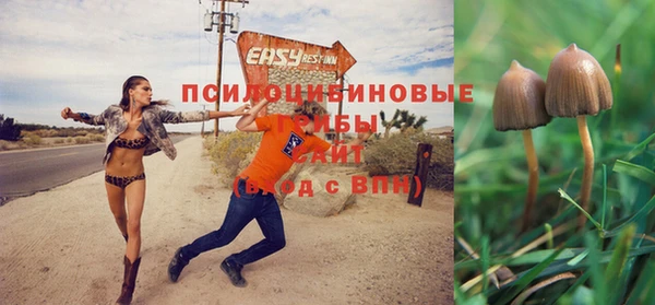 mix Абинск