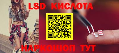 шишки Лесосибирск