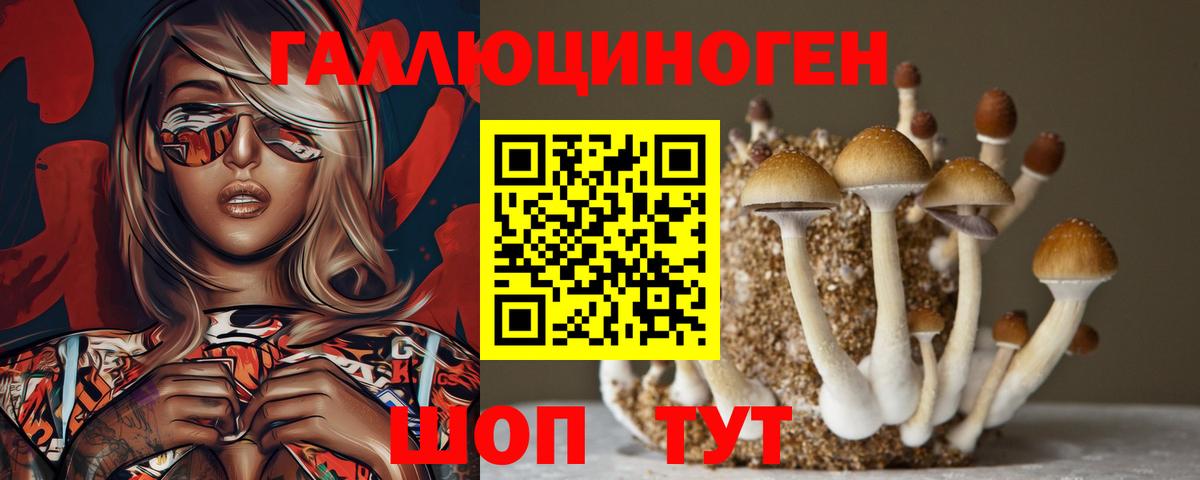 Псилоцибиновые грибы Magic Shrooms  Вход с VPN  Избербаш 